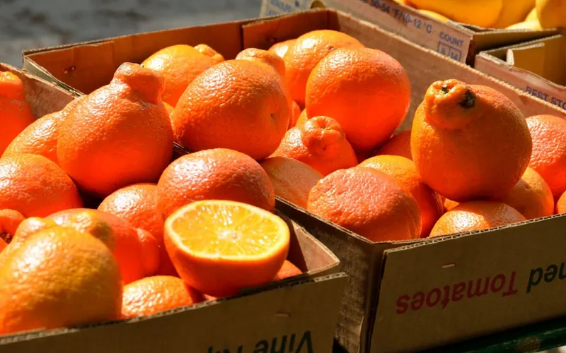 Crates of oranges and mandarins at a wholesale market
